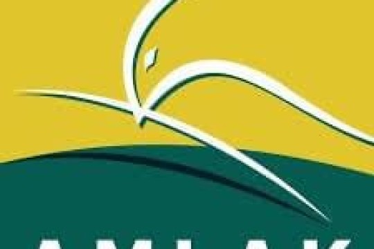 Amlak Finance posts AED200 million revenue in H1 2025, marking 61% growth