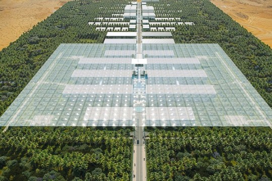 Beeah unveils design for Sharjah medical district project-UAE