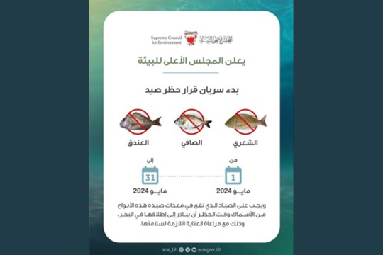 Safi, Shari, Andag fishing ban from May 1st: SCE