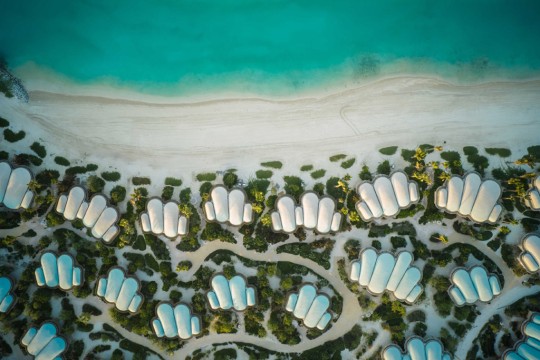 First resorts on Shura Island to welcome guests in coming weeks-Palestine