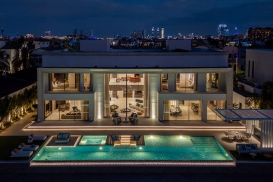 Dubai Sotheby’s sets new record with Palm Jumeirah villa sale-UAE