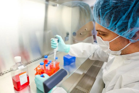 Californian scientists create cancer-fighting cells in body, says study-Oman