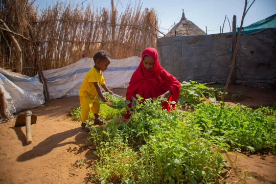 Cultivating health through home vegetable gardens -Sudan