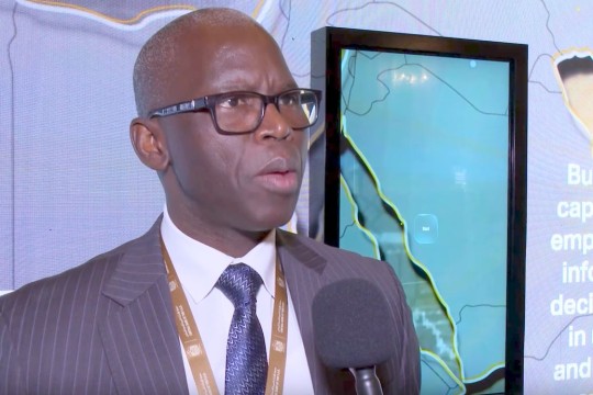 UAE demonstrates leadership with new 'Financial Inclusion Strategy': World Bank