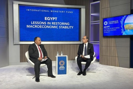 Egypt looks forward to mobilising sustainable finance for Africa’s public health: Finance Minister-Egypt