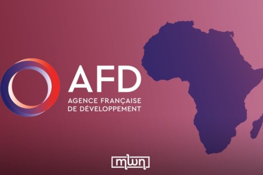 AFD Slashes Africa Budget to €4 Billion Amid French Aid Cuts