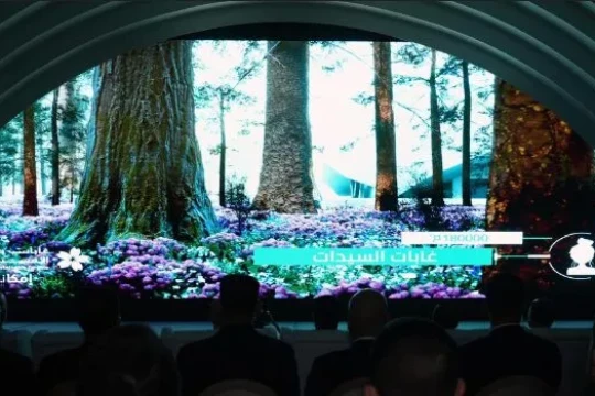 Baghdad Sustainable Forests Project launched-Iraq